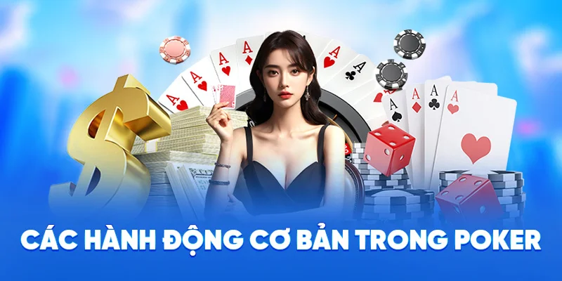 Khám Phá Poker Tại 78WIN - Luật Chơi Đơn Giản Từ Cao Thủ 2 Các hành động cơ bản trong poker